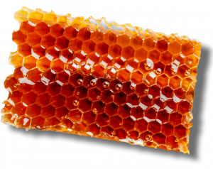 seasum honeycomb